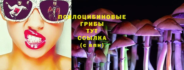 стаф Баксан