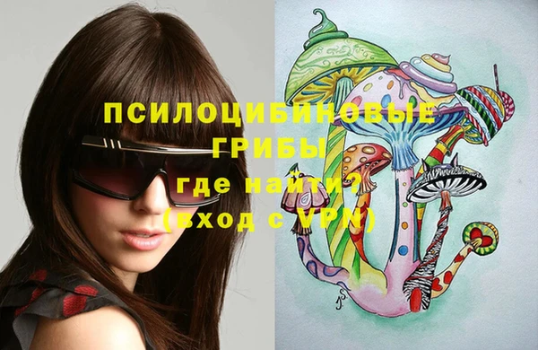 ALPHA PVP Армянск
