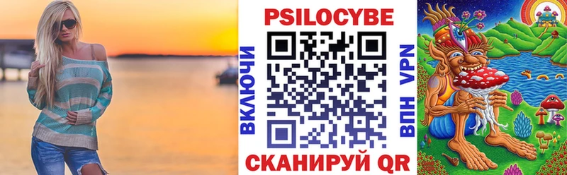 omg ССЫЛКА  Балтийск  Галлюциногенные грибы Psilocybe 