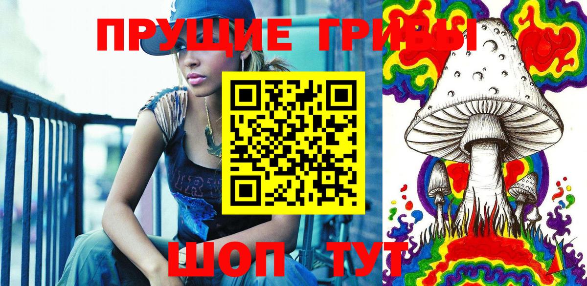 Галлюциногенные грибы мицелий Балтийск